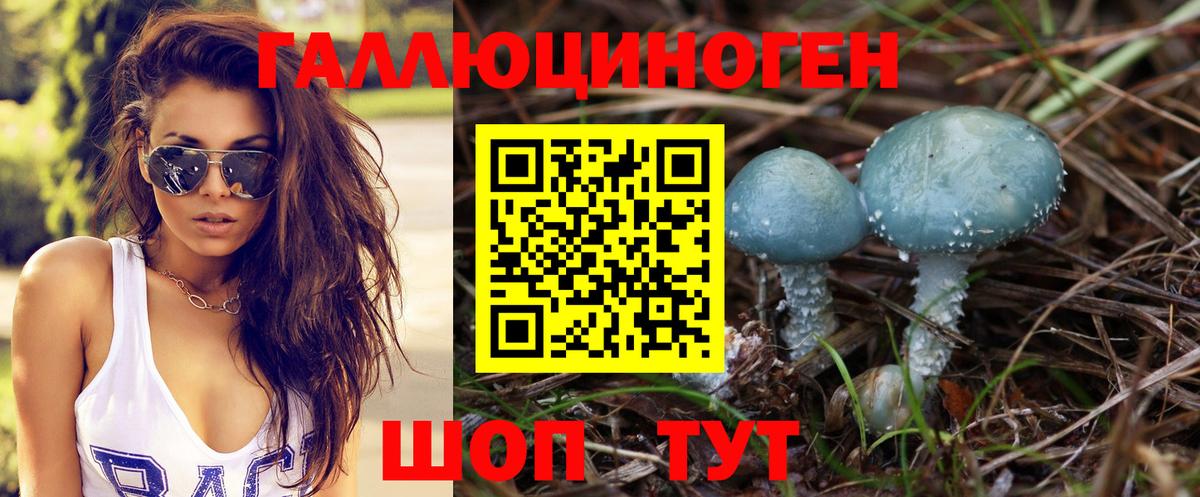 Галлюциногенные грибы GOLDEN TEACHER  Псилоцибиновые грибы прущие грибы  Богданович  Вход с VPN 